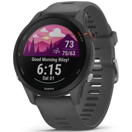 Garmin Forerunner 255 Basic Slate Gray